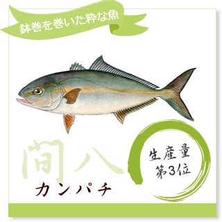 養殖方法|どんな魚が養殖されているの？ 